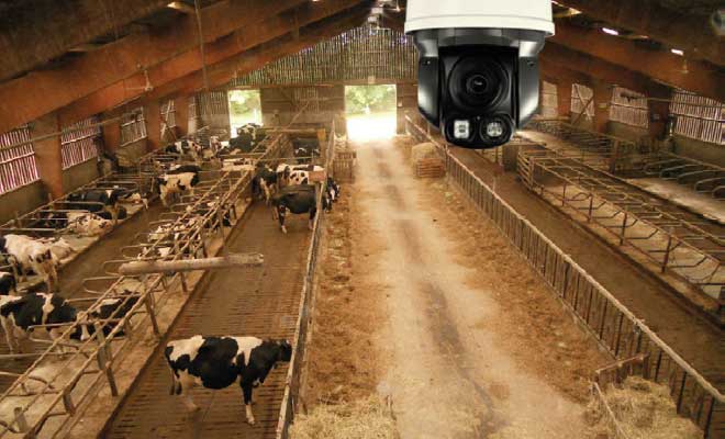 Matériel de surveillance pour bâtiment d'élevage CG GODRIE |  | Texte descriptif
